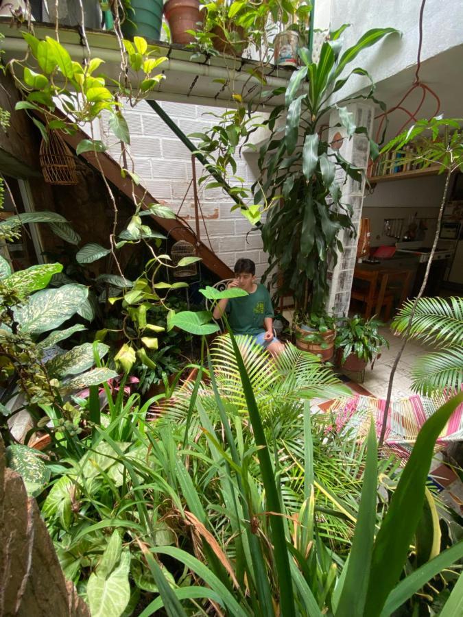 Hostal Casa Las Tias 麦德林 外观 照片